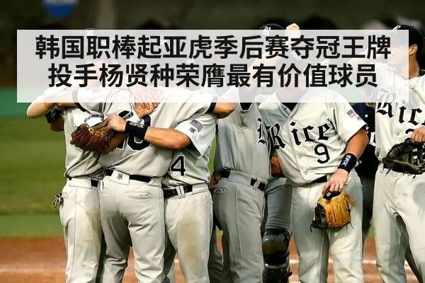韩国职棒起亚虎季后赛夺冠王牌投手杨贤种荣膺最有价值球员